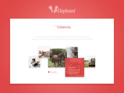 Elephant Re-Design Web Site creative design elephant graphic redesign ui ux website