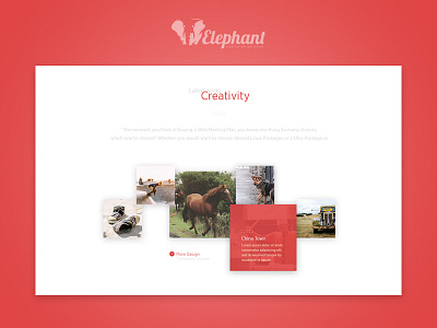 Elephant Re-Design Web Site