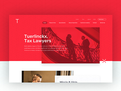 Tuerlinckx Branding + Webdesign branddesign branding corporate digital design firm lawyer uidesign uxdesign webdesign