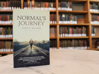 Normal's Journey Bookcover book design bookcover