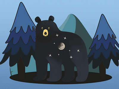 Night Bear