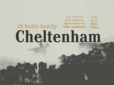 Cheltenham - 16 family fonts