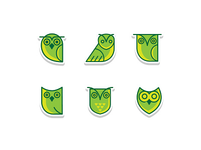 Owl animal bird cartoon cute owl