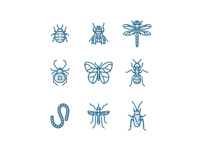 Insects