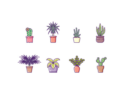 Plants garden tree leaf palm cactus aloe houseplant plant