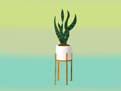 Potted plant