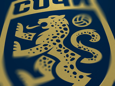Soccer club coat of arms football leopard soccer sport sportbranding sportlogo