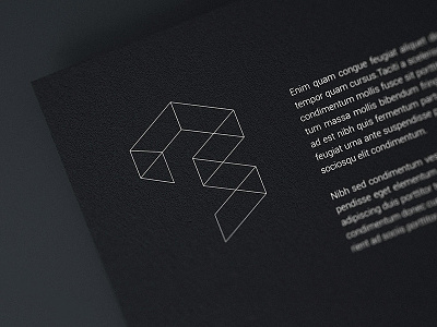 Braus | logo design corporate identity graphic design logo typography