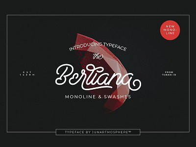 Berliana Monoline Font branding design font hand crafted hand lettring monoline text typeface typhography