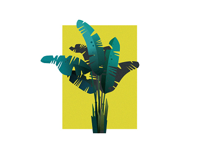 plant. design dribbble icons illustration illustrator plant print vector vectorart