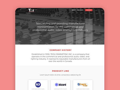Homepage Design - Teoli Marketing