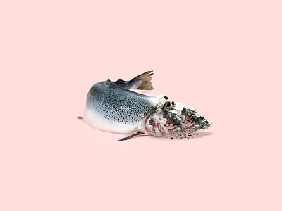 Smoked Salmon creative minimalist photoshop salmon