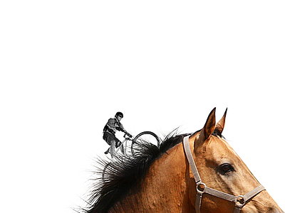 Horseback Riding bike creative horseback minimalist photoshop