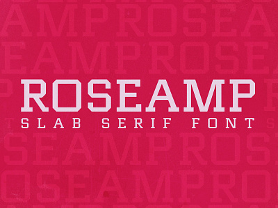 Roseamp /// Dynamic Slab Serif