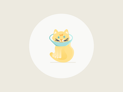Elizabethan Collar Flat cat cute cat elizabethan collar flat icons iconset illustration