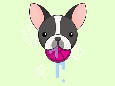 Dribbble Dog dog illustration