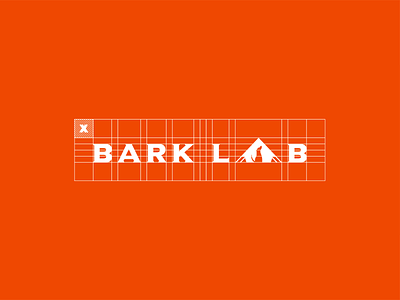 Bark Lab box brand branding color design dog graphic graphic design grid logo packaging design pet vector
