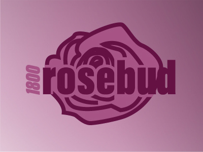 Day 06 / Rosebud