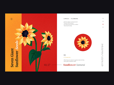 Seven Giant Sunflower Seeds animation color design illustration ui ux vector web