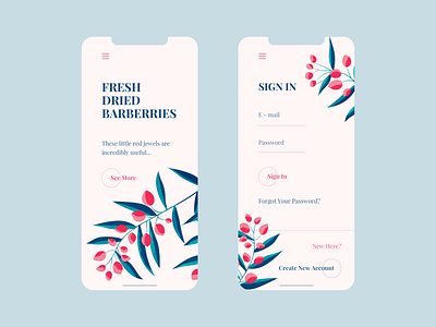 Fresh Barberries - Mobile Design color design flower illustration login mobile ui ux web