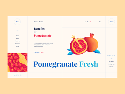 Pomegranate Benefits - UI Design color design illustration ui ux vector web