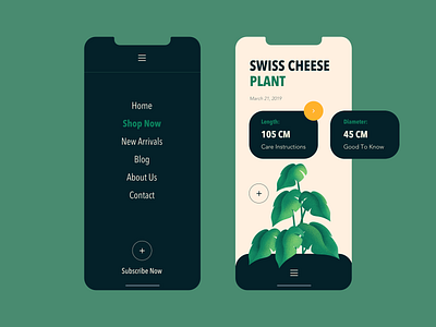 Monstera Deliciosa - Mobile Design color design illustration mobile mobile app monstera plant ui ux vector web