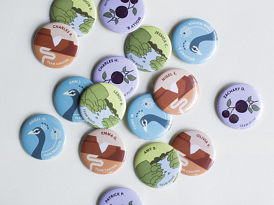 Button set for the Carolina Union buttons collateral illustration print design