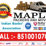 Maple Packers and Movers 