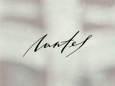 Nantes brand branding calligraphy lettering logo