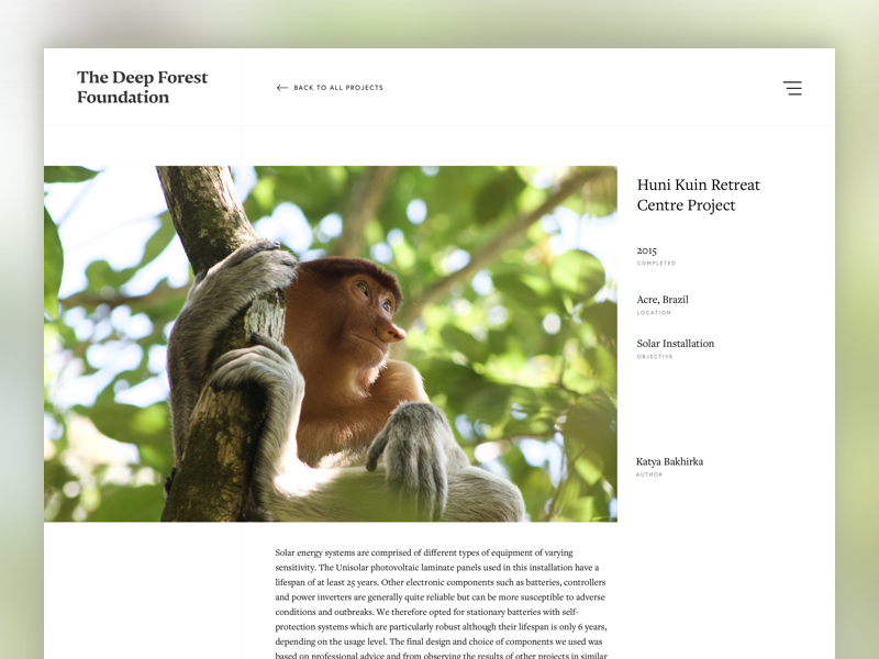 Deep Forest Foundation Project View by Ollie Jackson for Club on Dribbble