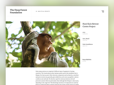 Deep Forest Foundation Project View grid minimal web design
