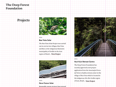 The Deep Forest Foundation grid view clean grid minimal web design white space