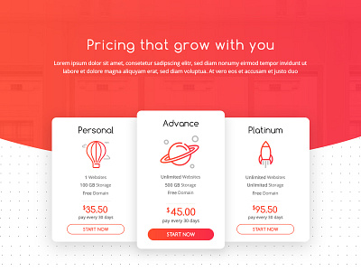 Pricing Plan Hosting