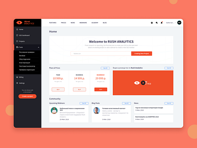 SEO Dashboard dashboard design dashboard ui product rush rush analytics seo seo dashboard ui ui ux ux web