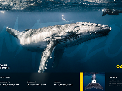 National Geographic by Jordan Andrews on Dribbble