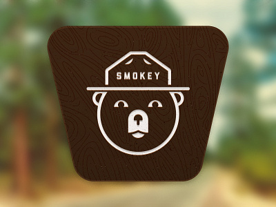 Smokey One Color Sign forest logo national forest redesign signage smokey bear wood grain