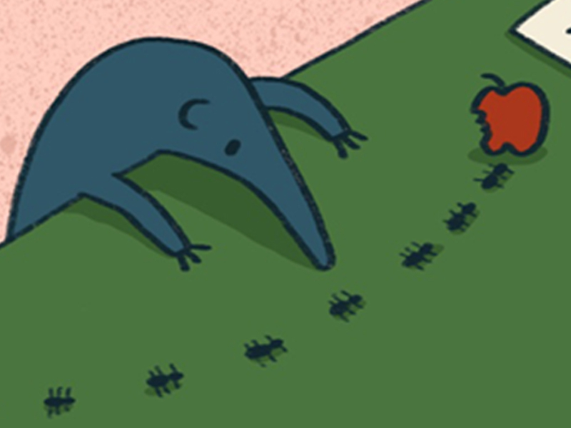 Ants & an Aardvark by Dale Crosby-Close on Dribbble