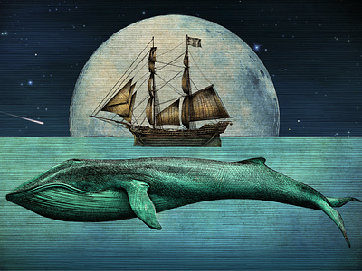 Mystic Ocean's Illustration hand drawn illustration moon ocean water whale