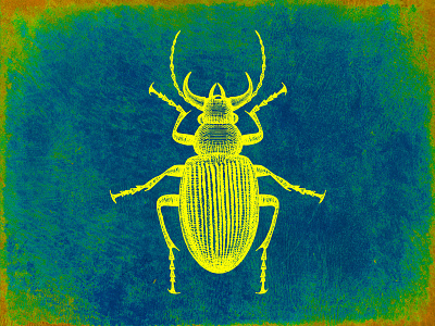 Fluorescent beetle beetle fluorescent hand drawn rustic scarab