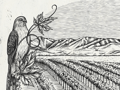Vineyard bird black ink hand drawn illustration rustic vineyard vintage