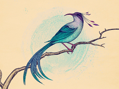 Bird - stretching my color boundaries :)