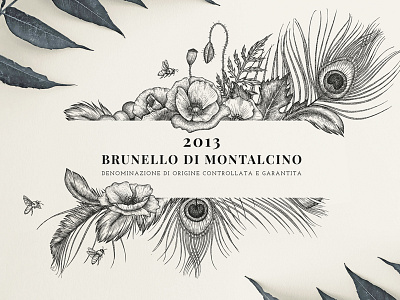 Illustration for Premium Wine Label of Corte Pavone bee botanical feathers hand drawn illustration label peacock poppies wine