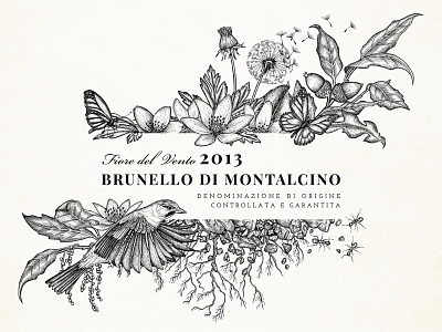 #2 Illustration for Premium Wine Label of Corte Pavone bird black ink botanical illustration insects label plants wind wine