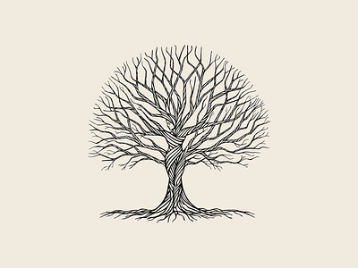 Oak Tree’s Gift illustration branches drawn hand illustration line art nature oak tree vector woman