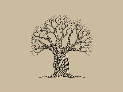 Baobab Tree’s Gift illustration hand drawn illustration line art nature tree treewoman woman