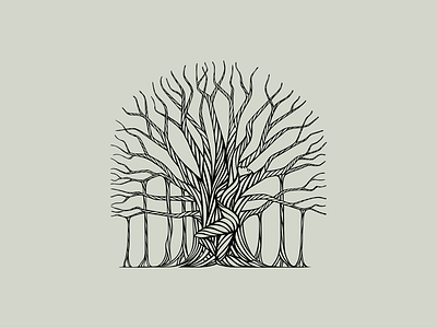 Banyan Tree’s Gift illustration