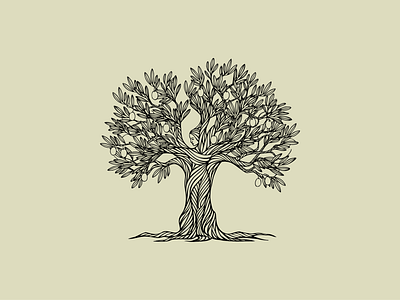 Olive Tree’s Gift illustration