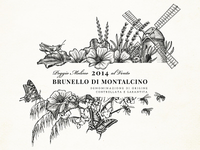 Corte Pavone Brunello di Montalcino 2014 botanicals crosshatch crosshatching flowers hand drawn herbs illustration insects nature plants vectorart windmill wine label