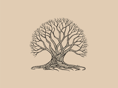 Moreton Bay Fig’s Gift illustration branding hand drawn illustration lineart tree vector vectorart woman illustration