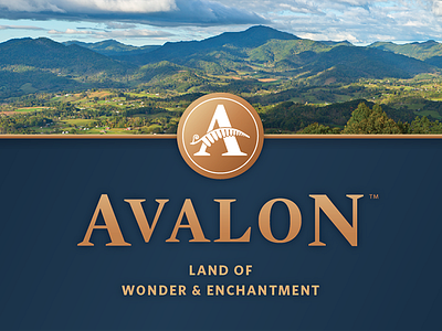 Avalon logo and branding branding identity logo marketing